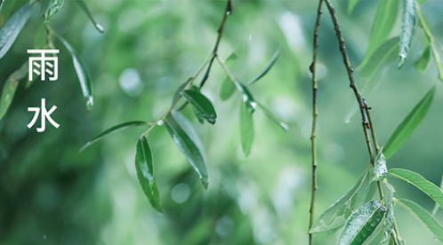 雨水時節(jié) | 迎一場春雨,等一片花開【杭州易造】