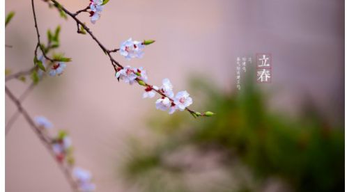 立春|一年四季春為首，莫負春日好時光——【易造科技】