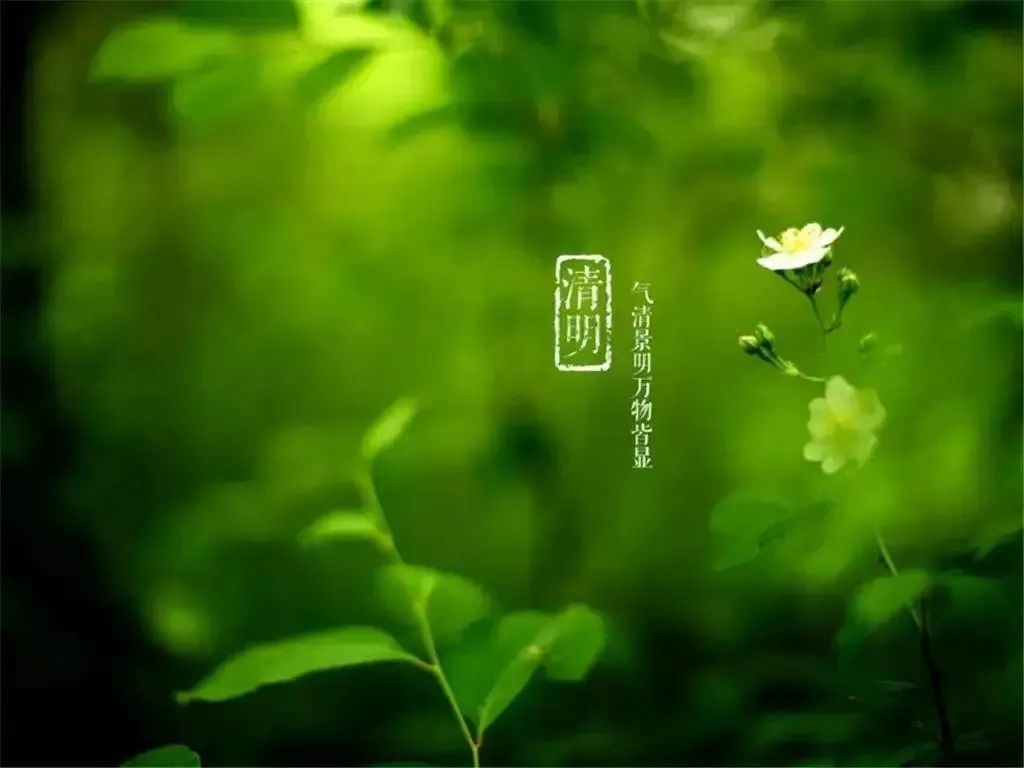 清明節(jié)——清明時節(jié)雨紛紛，路上行人欲斷魂