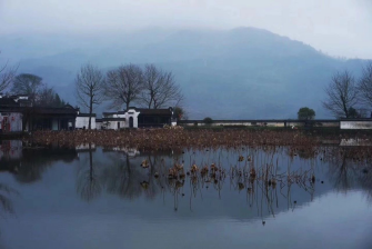 小寒-白日隱寒樹，野色籠寒霧